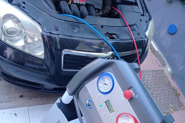 IMG_20220427_113410 IMG_20220427_113410