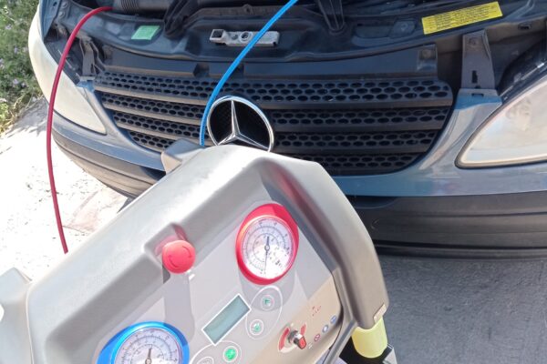 IMG_20220427_113804 IMG_20220427_113804