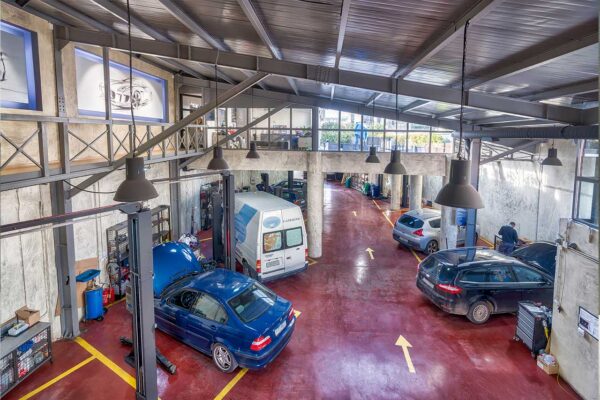 tsopelogiannis-3 tsopelogiannis-3