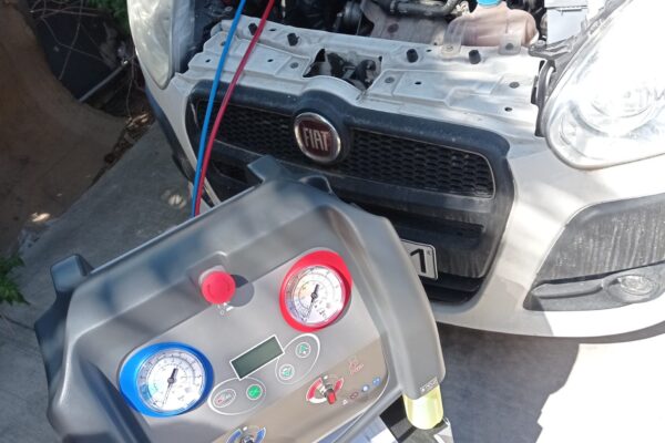 IMG_20220427_113711 IMG_20220427_113711