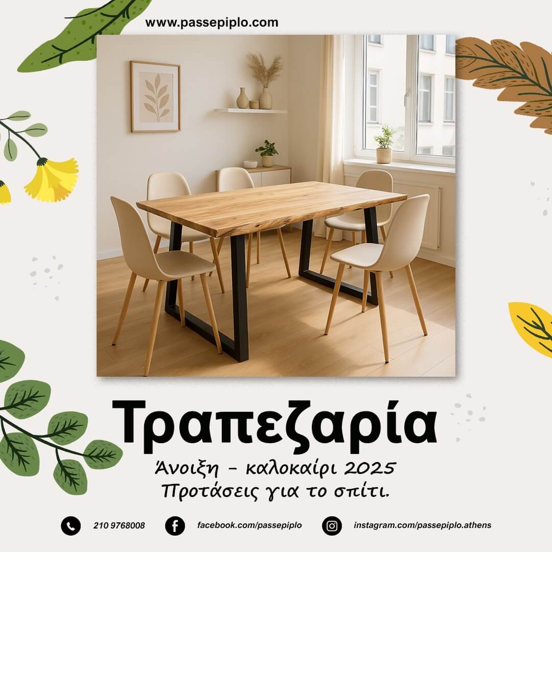 ΠΡΟΣΦΟΡΑ PASSEPIPLO