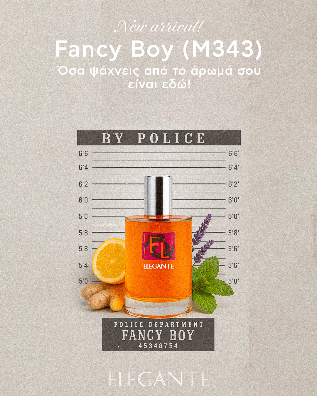 ΠΡΟΣΦΟΡΑ ELEGANTE SOCIAL